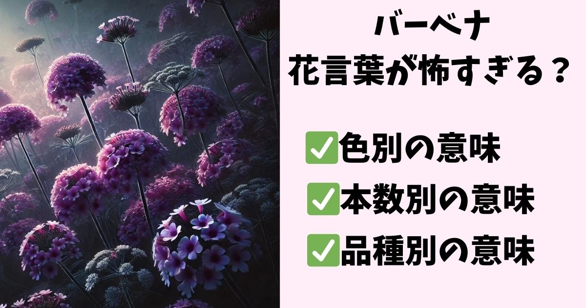 バーベナ　花言葉　怖い