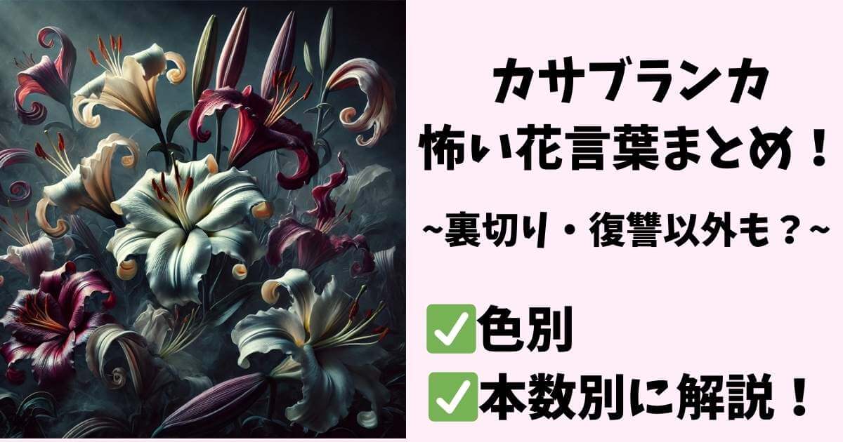 カサブランカ 花言葉 怖い